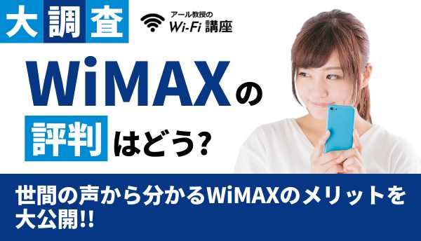 WiMAX_評判の画像
